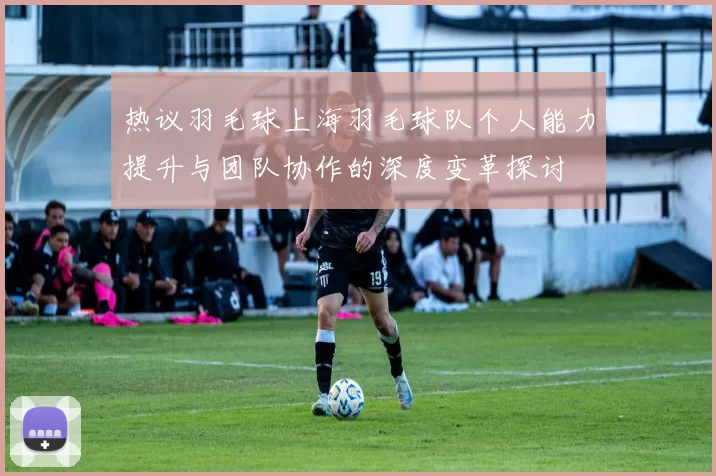 热议羽毛球上海羽毛球队个人能力提升与团队协作的深度变革探讨