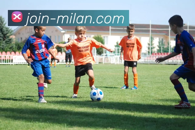 米兰体育平台生态图